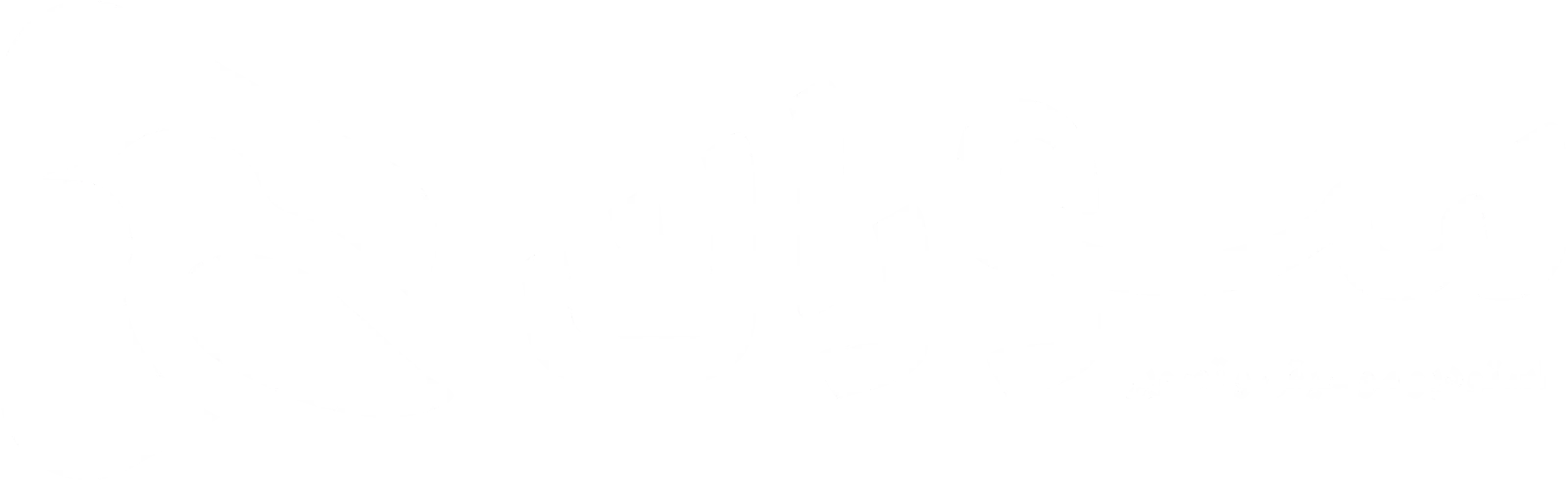 لوگوی سوران